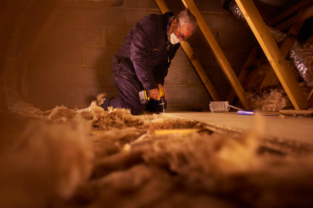 Best Crawl Space Insulation  in Mesita, NM